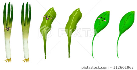 Vegetable Illustration - Characters - Green onions and leaves 112601962