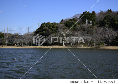 Daimoike Park in winter Daimoike Park in winter 112602091