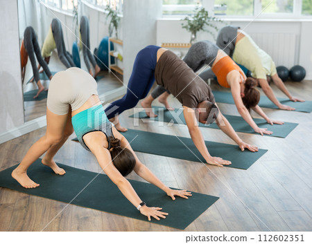 Women and men practicing downward dog pose of yoga during fitness classes 112602351