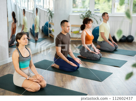 Lovers of active lifestyle on yoga mat perform doing diamond pose, vajrasana in gym 112602437