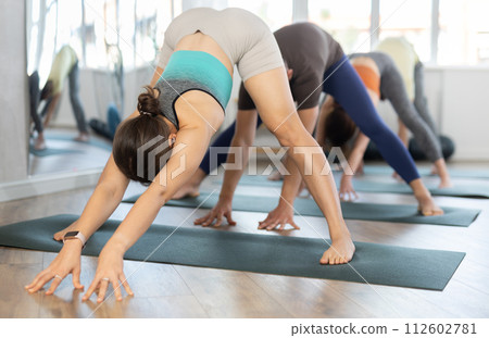 Portrait of young active sporty people practicing yoga with group at fitness center Portrait of young active sporty people practicing yoga with group at fitness center 112602781