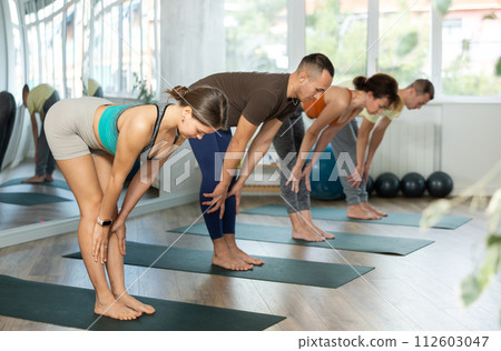 Lovers of active lifestyle on yoga mat perform doing Ardha Uttanasana in gym Lovers of active lifestyle on yoga mat perform doing Ardha Uttanasana in gym 112603047