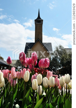 Tulip field and chapel 112603429
