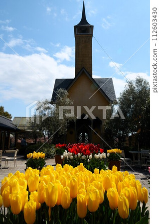 與黃色鬱金香的風景 112603430