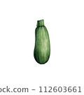 Zucchini watercolor illustration. Hand drawn clip art isolated ontransparent background. Vegetable botanical painting for design, kitchen print.  112603661