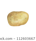 Watercolor hand drawn potato. Fresh vegetable isolated on transparent background, watercolor illustration. 112603667