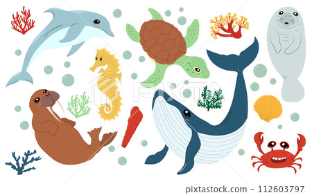 Set with hand drawn sea animals. 112603797