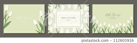 鬱金香材質集框架背景向量圖簡單時尚 鬱金香材質集框架背景向量圖簡單時尚 112603916