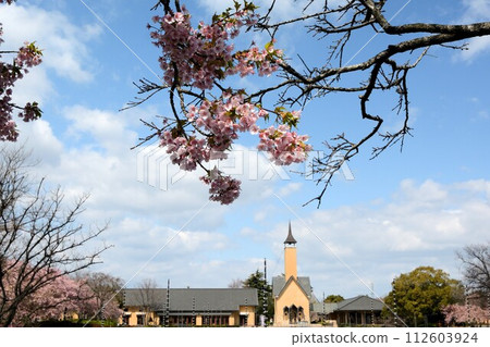 Cherry blossom park and church Cherry blossom park and church 112603924