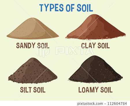 Different Soil Types Educational Illustration Different Soil Types Educational Illustration 112604784
