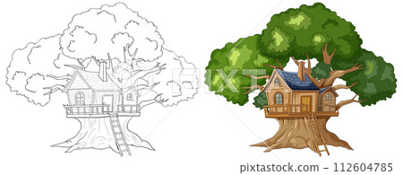 Enchanted Treehouse Before and After 112604785
