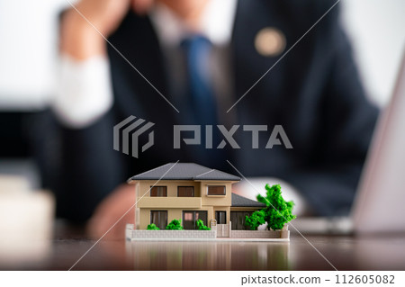 Senior lawyer house model faceless Senior lawyer house model faceless 112605082