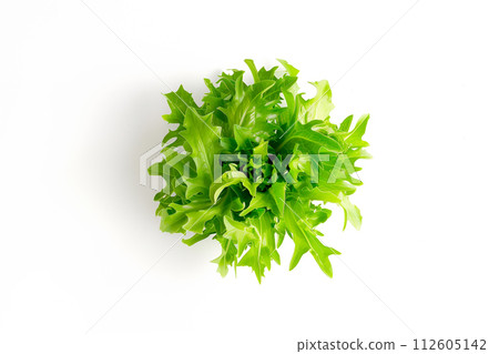 Bibb lettuce isolated on white background. Fresh green salad leaves from garden Bibb lettuce isolated on white background. Fresh green salad leaves from garden 112605142