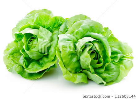 Butter lettuce isolated on white background. Fresh green salad leaves from garden Butter lettuce isolated on white background. Fresh green salad leaves from garden 112605144