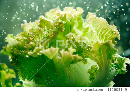 Endive lettuce isolated on white background. Fresh green salad leaves from garden 112605149