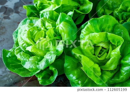 Crisphead, or iceberg lettuce isolated on white background. Fresh green salad leaves from garden 112605199