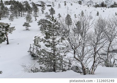 Arctic Norway in Winter 112605249