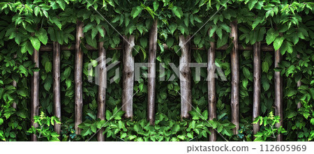 Old wooden fence of their poles overgrown with foliage Old wooden fence of their poles overgrown with foliage 112605969