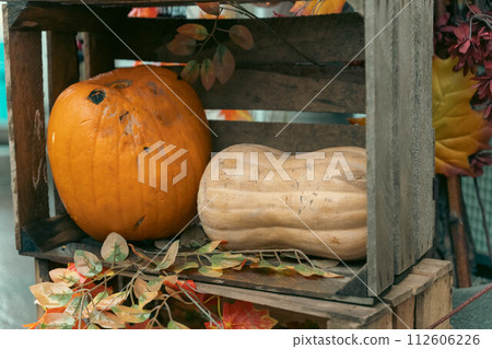 Capture the essence of the fall season with a delightful arrangement of ripe pumpkins and vibrant autumn foliage in a captivating still life display 112606226