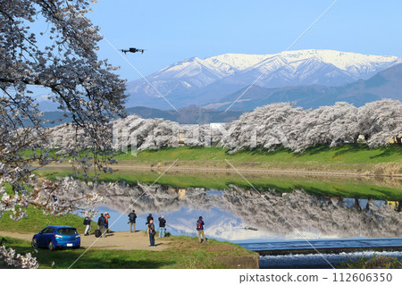 春天盛開的白石川沿岸的千朵櫻花:韭神瑟爾(宮城縣柴田郡柴田町) 春天盛開的白石川沿岸的千朵櫻花:韭神瑟爾(宮城縣柴田郡柴田町) 112606350