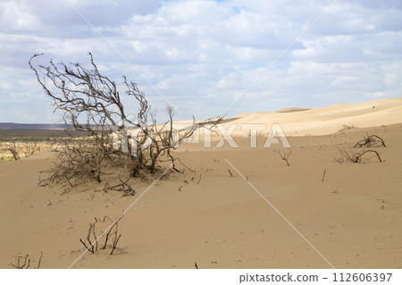 Tuyesu dunes landscape, Senek, Kazakhstan Tuyesu dunes landscape, Senek, Kazakhstan 112606397