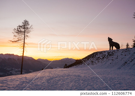 Wooden sculpture of a wolf. Italian landmark at dawn Wooden sculpture of a wolf. Italian landmark at dawn 112606774
