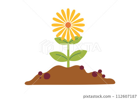Pile of ground with small yellow blooming flower, heap of soil. Vector illustration isolated on white background. Vector illustration. Gardening, plants. Cartoon design for poster, icon, card Pile of ground with small yellow blooming flower, heap of soil. Vector illustration isolated on white background. Vector illustration. Gardening, plants. Cartoon design for poster, icon, card 112607187
