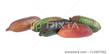 Fresh finger limes isolated on white background. Caviar lime. Fruits pods. Clipping path. Fresh finger limes isolated on white background. Caviar lime. Fruits pods. Clipping path. 112607402
