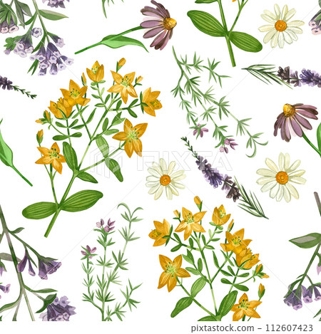 Watercolor pattern. Meadow grasses and flowers echinacea, hypericaceae, heather, chamomile, oregano hand drawn in watercolor. Suitable for printing on paper, books, scrapbooking, design, textiles. Watercolor pattern. Meadow grasses and flowers echinacea, hypericaceae, heather, chamomile, oregano hand drawn in watercolor. Suitable for printing on paper, books, scrapbooking, design, textiles. 112607423