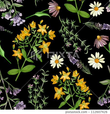 Seamless pattern on a dark background. Meadow grasses chamomile, lungwort grass, hypericaceae, heather oregano drawn in colored watercolor by hand. For printing on fabric and paper, textiles, design. Seamless pattern on a dark background. Meadow grasses chamomile, lungwort grass, hypericaceae, heather oregano drawn in colored watercolor by hand. For printing on fabric and paper, textiles, design. 112607426