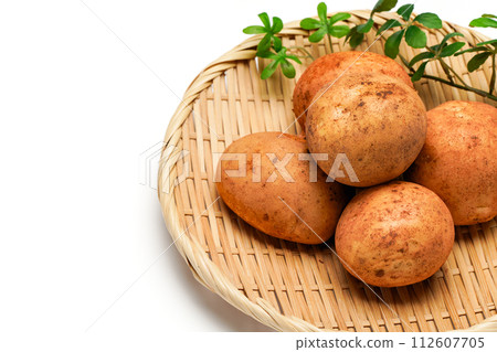 Potatoes 112607705