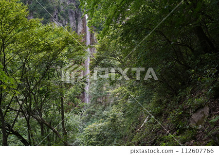 Suzaka City, Top 100 Japanese Waterfalls, Gongen Falls seen from near Yonago Fudoson Okunoin, August 31, 2023 112607766