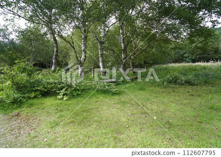 Suzaka City, Yonago River right bank near Yonago Falls, August 31, 2023 Suzaka City, Yonago River right bank near Yonago Falls, August 31, 2023 112607795