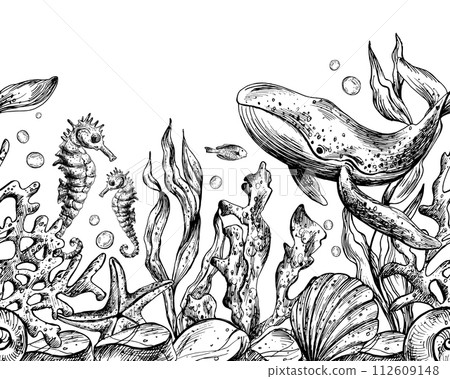 Underwater world clipart with sea animals whale, turtle, octopus, seahorse, starfish, shells, coral and algae. Graphic illustration hand drawn in black ink. Seamless border EPS vector. Underwater world clipart with sea animals whale, turtle, octopus, seahorse, starfish, shells, coral and algae. Graphic illustration hand drawn in black ink. Seamless border EPS vector. 112609148