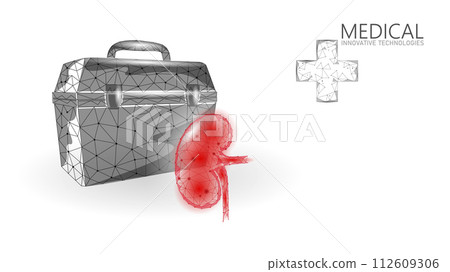 3D human kidneys transplantation case. Red low poly kidneys anatomy organ. Polygonal donor medicine patient help donation vector illustration 112609306