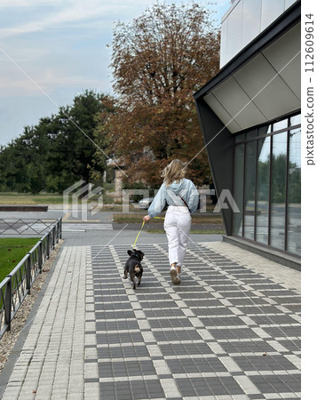 A girl and a dog walking on a leash, rear view. Walking on a warm autumn day with a dog on a city street. French bulldog and stylish blonde in light clothes. 112609614