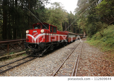 阿里山鐵路神木站及列車 112609644