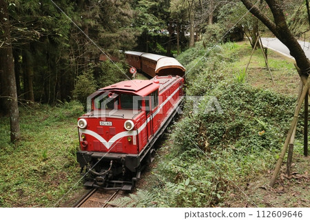 Train running through Alishan Forest Recreation Area 112609646