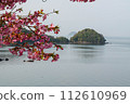河津櫻花和小島 112610969