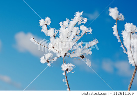 Winter scene 112611169