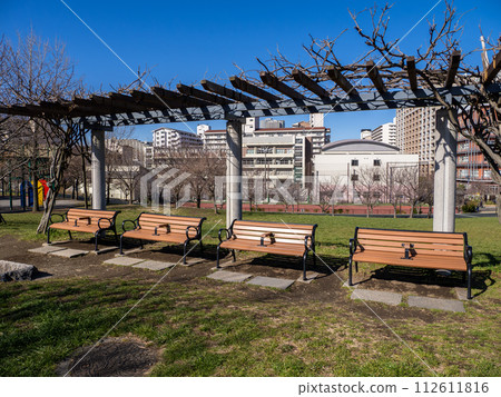 A bench with a partition in the park A bench with a partition in the park 112611816