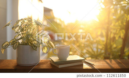 Coffee cup and notebook and Angel wings plant on wooden table under sunlight Coffee cup and notebook and Angel wings plant on wooden table under sunlight 112611850