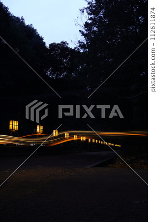 Kasuga Taisha Shrine approach night view 112611874