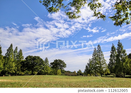 藍天和廣場 112612005