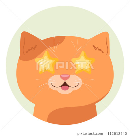 Cartoon red tabby cat with stars in his eyes. The cat is delighted and looks at the object of adoration. Vector illustration Cartoon red tabby cat with stars in his eyes. The cat is delighted and looks at the object of adoration. Vector illustration 112612340