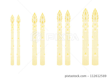 白蘆筍 白蘆筍 112612589