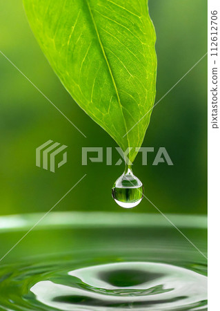 Water droplets and fresh green leaves (AI generated material) 112612706