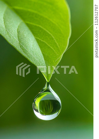水滴和新鮮的綠葉（AI生成材料） 112612707