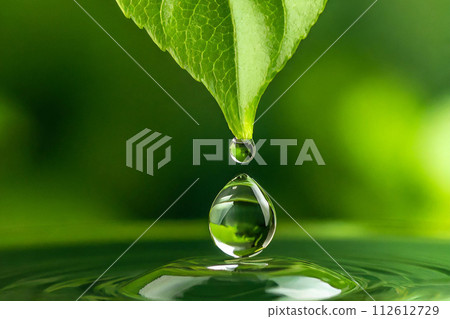 Water droplets and fresh green leaves (AI generated material) 112612729