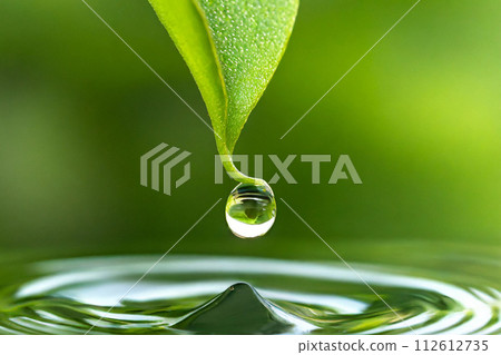 Water droplets and fresh green leaves (AI generated material) 112612735